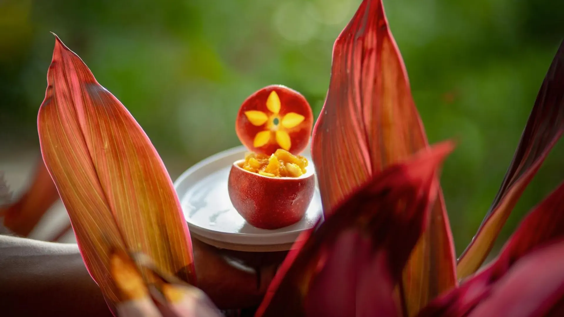 Alma Maya Resort - Riviera Maya Puerto Morelos